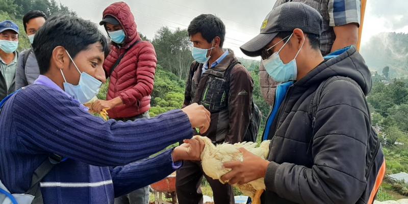 MAGA fortalece plan profiláctico para proteger a la avicultura familiar 