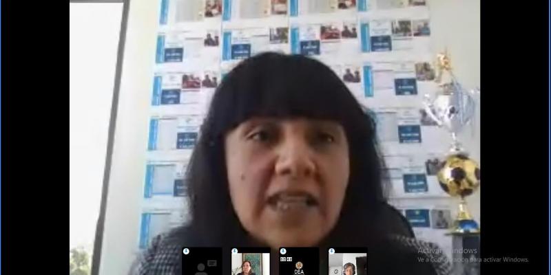 Representante Mides durante reunión sobre protección social con OEA