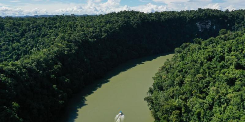 Resguardar los humedales es actuar a favor de la vida