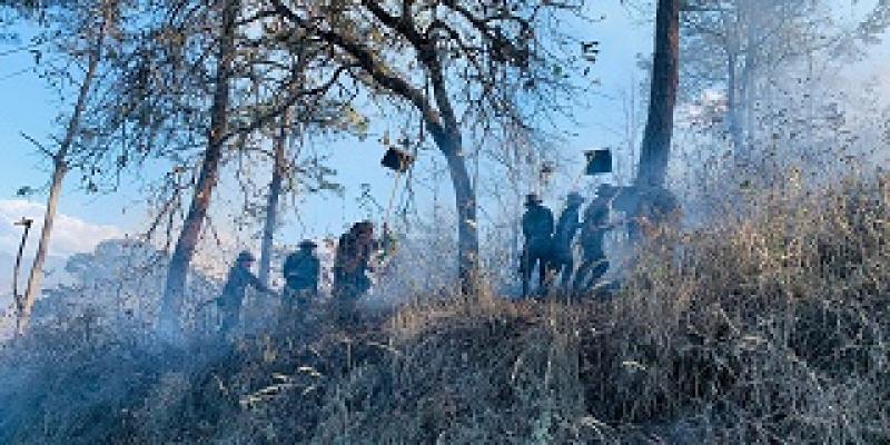 Primera Brigada de Infantería apoyó combate de incendio forestal en San Pedro Ayampuc, Guatemala