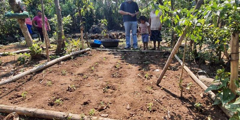 Secretaría de Seguridad Alimentaria y Nutricional 