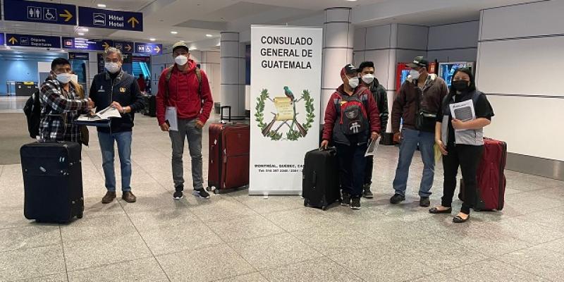 Consulado de Guatemala en Montreal, Canadá, recibe en aeropuerto a 189 trabajadores temporales connacionales