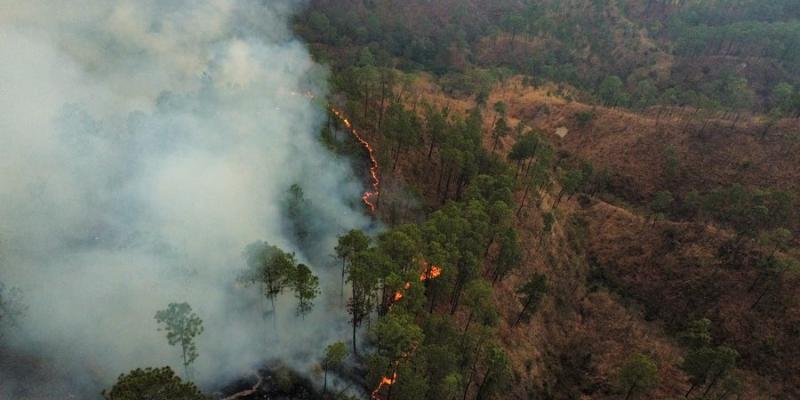 Incendio forestal registrado en el municipio de Chiché, Quiché. Foto de archivo. 