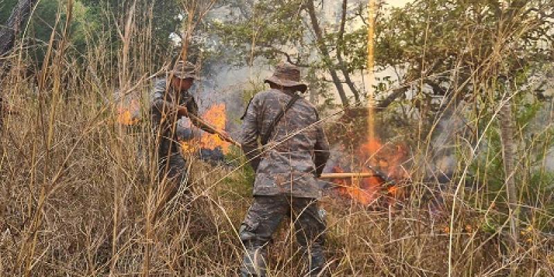 Ejército de Guatemala apoyó sofocamiento de incendios forestales en Chimaltenango y Baja Verapaz