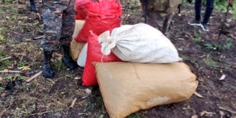 Ejército de Guatemala localiza y apoya erradicación de ilícitos en Melchor de Mencos, Petén