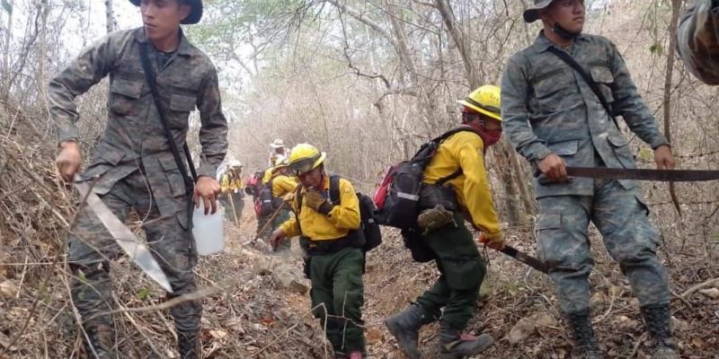 Ejército de Guatemala apoya interinstitucionalmente para controlar incendio en Cerro Huexque, Chiquimula