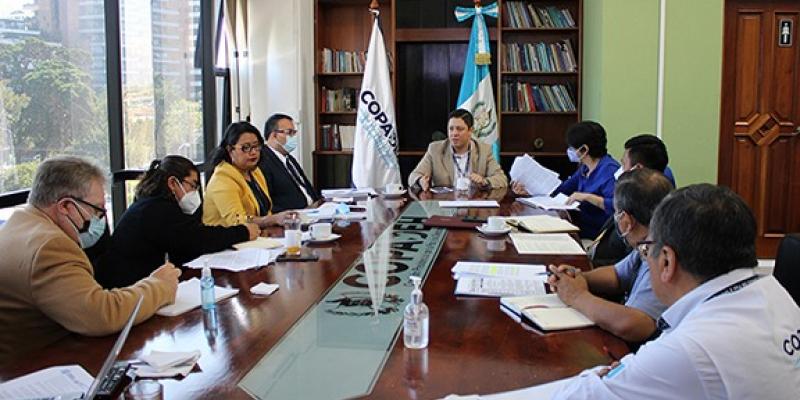 COPADEH reunión interinstitucional