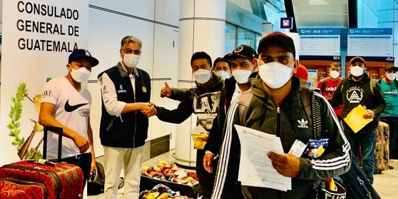 Más de 900 guatemaltecos han arribado a Canadá en días recientes para trabajar de manera temporal