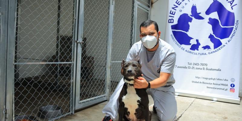 El MAGA llama a garantizar el bienestar animal ante el descanso de Semana Mayor