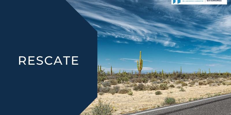 nota de prensa, Minex