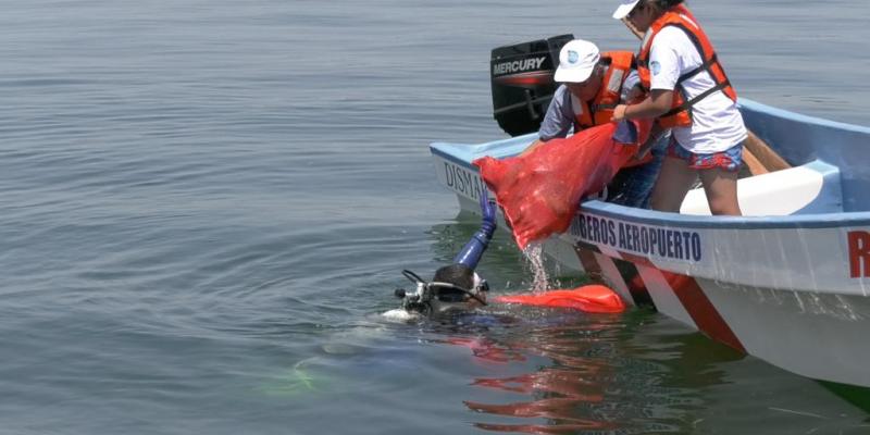 Playas Limpias arranca con resultados positivos