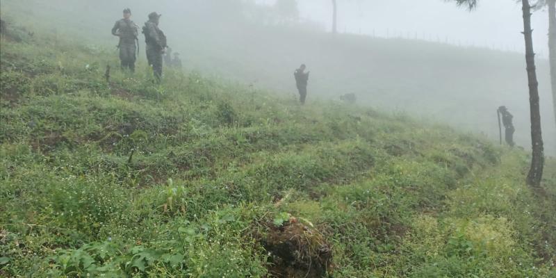 Ejército de Guatemala apoya erradicación de amapola en San Miguel Chicaj, Baja Verapaz