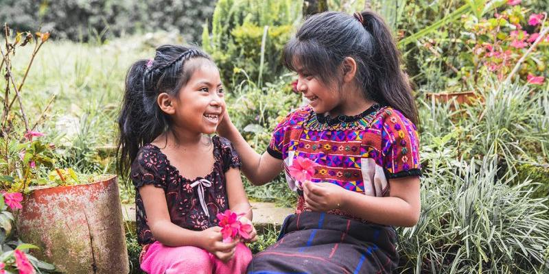 Secretaría de Seguridad Alimentaria y Nutricional 