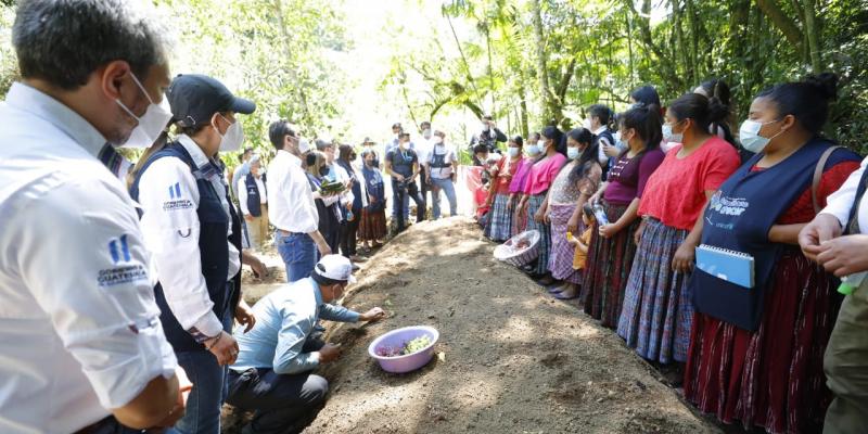 Secretaría de Seguridad Alimentaria y Nutricional 