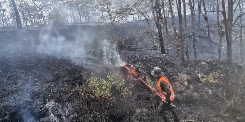Soldado desarrollando tareas de sofocamiento de incendio forestal.