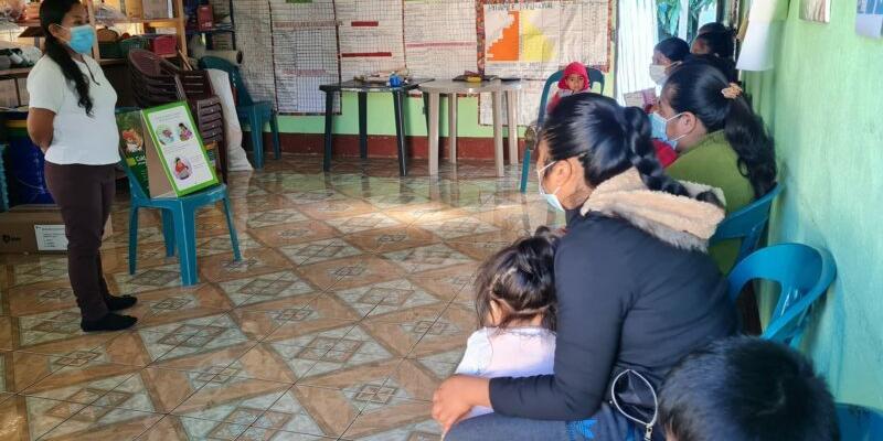 Secretaría de Seguridad Alimentaria y Nutricional 