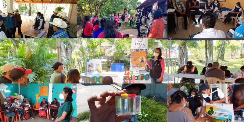 Secretaría de Seguridad Alimentaria y Nutricional 