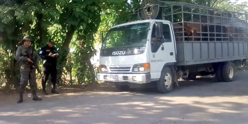 Ejército de Guatemala desarrolló operaciones de seguridad en Izabal.