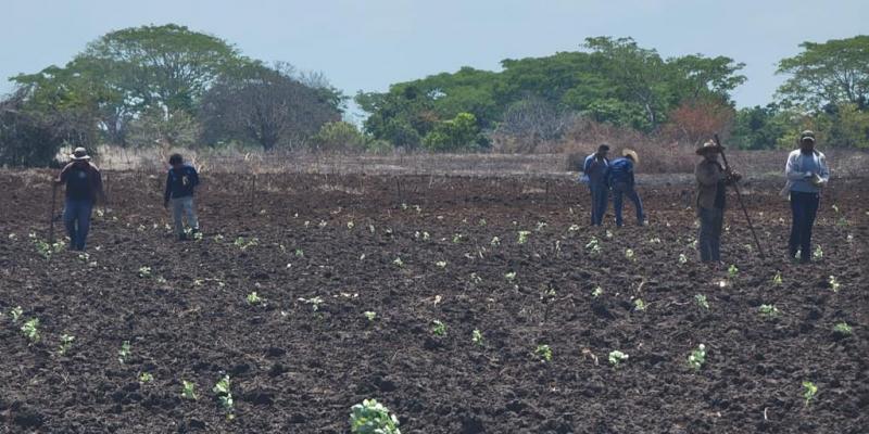 Acciones de Desarrollo en Ratalhuleu