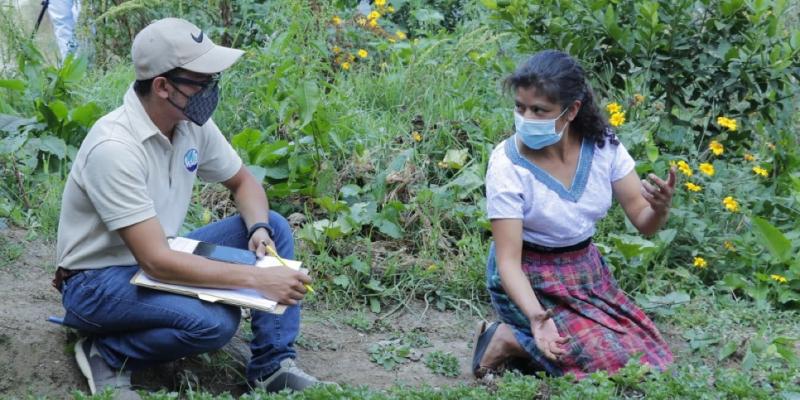 Guatemala mejora el desarrollo de los agricultores familiares 