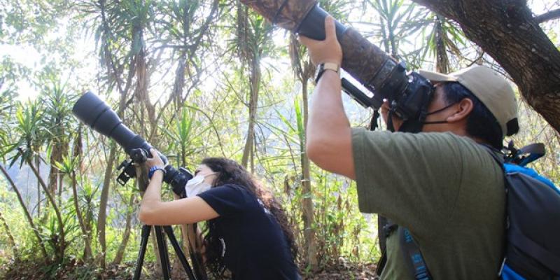 Avistamiento de aves