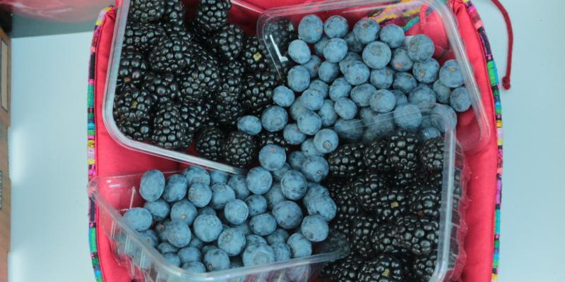 El MAGA impulsa la fruticultura guatemalteca