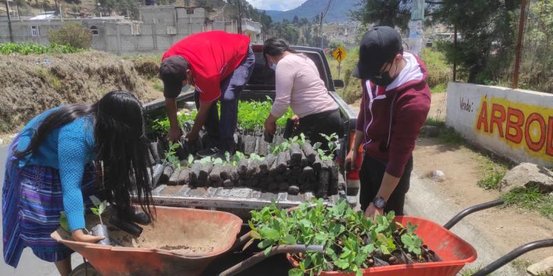 Totonicapán prepara jornadas de reforestación 