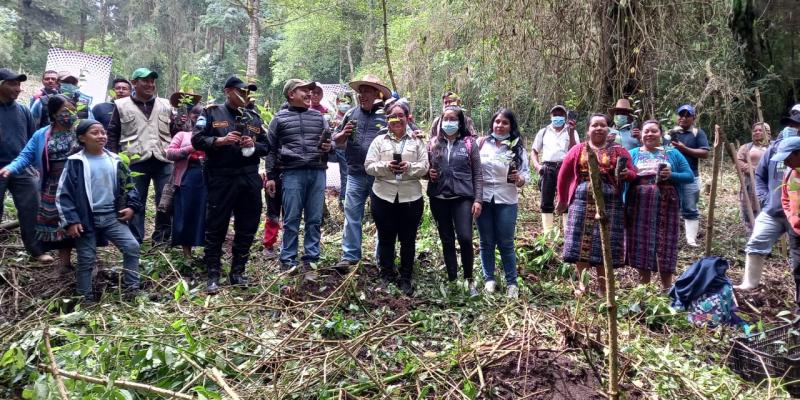 Más árboles plantados en el astillero municipal de Patzicía