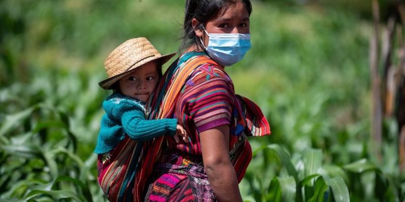 Secretaría de Seguridad Alimentaria y Nutricional 