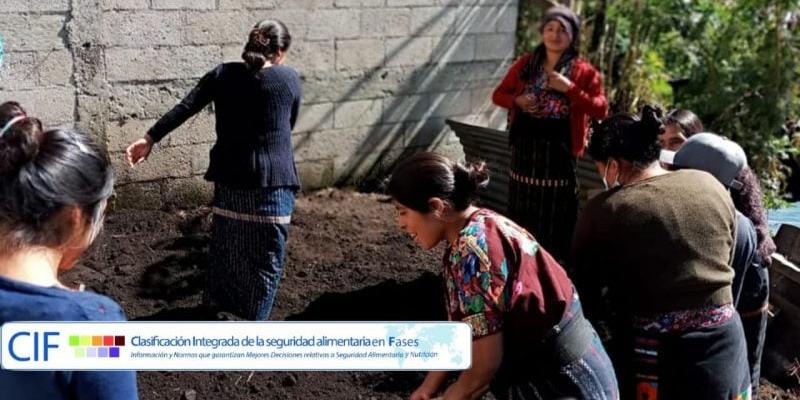 Secretaría de Seguridad Alimentaria y Nutricional 