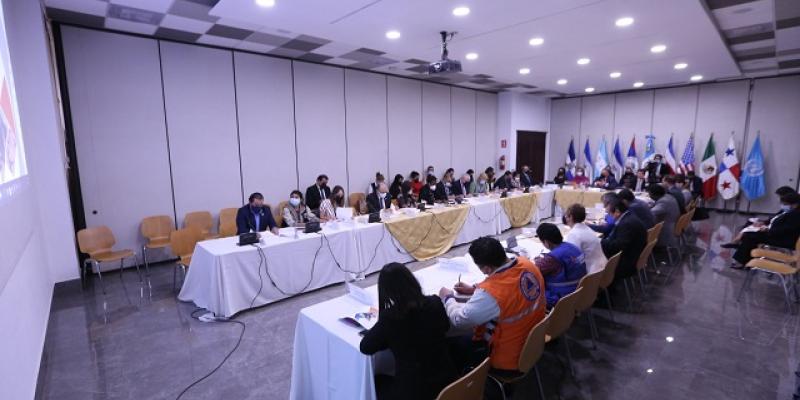 Minex presenta hoja de ruta para abordaje interinstitucional de la migración irregular