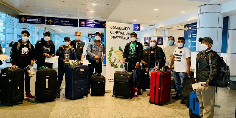 Más de 11 mil 800 guatemaltecos han viajado en 2022 a Montreal, Canadá, para trabajar de manera temporal