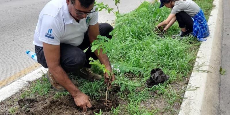 Destacan importancia de los árboles y la reforestación en El Progreso 