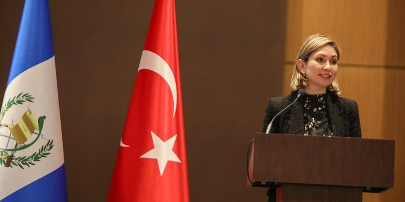 La Viceministra de Inversión y Competencia, Francisca Cárdenas, durante su participación en la activiadad.