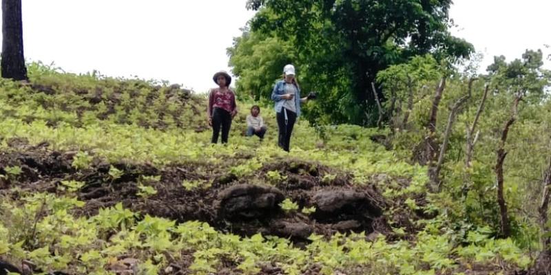 MARN, estudiantes y municipalidades plantan 800 árboles en Sanarate y Sansare