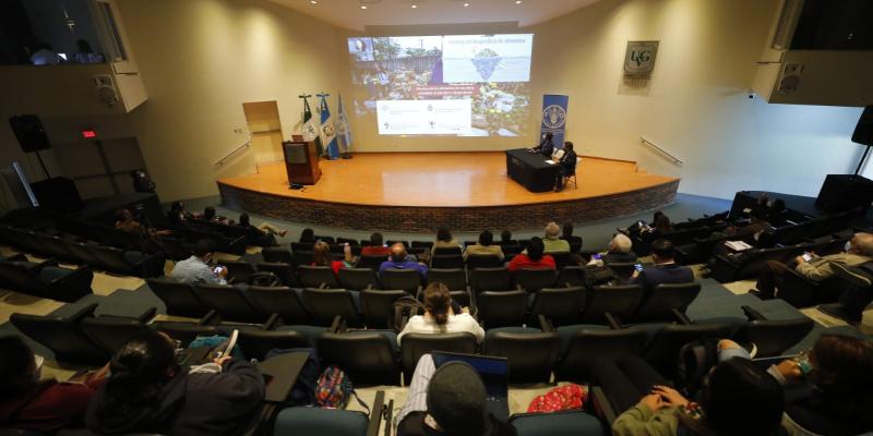 Secretaría de Seguridad Alimentaria y Nutricional 