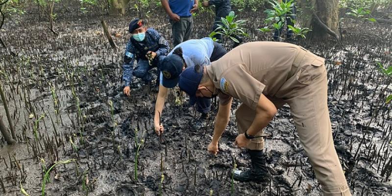 Marina de la Defensa Nacional conmemora el Día Internacional de la Defensa del Ecosistema Manglar