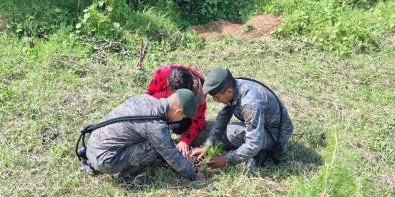 Ejército de Guatemala reforesta diversas regiones.