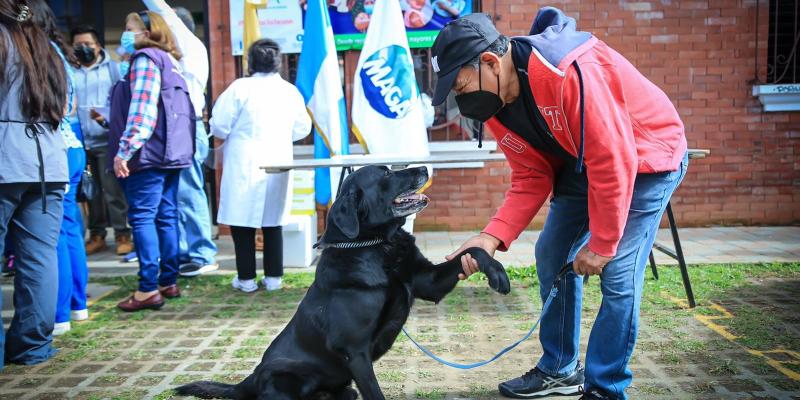 Sacatepéquez realizó jornada masiva de vacunación contra la rabia 