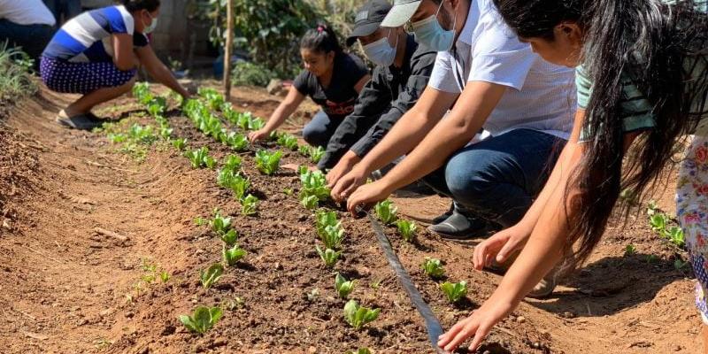 Secretaría de Seguridad Alimentaria y Nutricional 