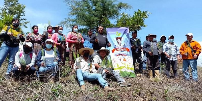 Patzún planta más árboles para proteger el medioambiente