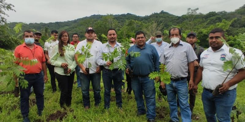 Santa Rosa cuenta con nuevas áreas reforestadas
