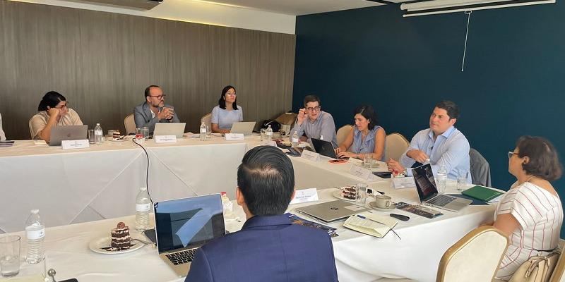 El  ministro de Economía, Dr. Janio Rosales, durante su reunión con la ministra de Economía de El Salvador.