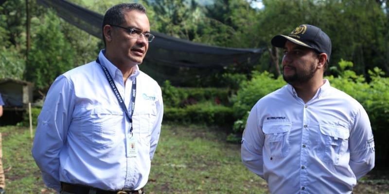Jornadas de reforestación impulsan la convivencia pacífica y el acercamiento comunitario