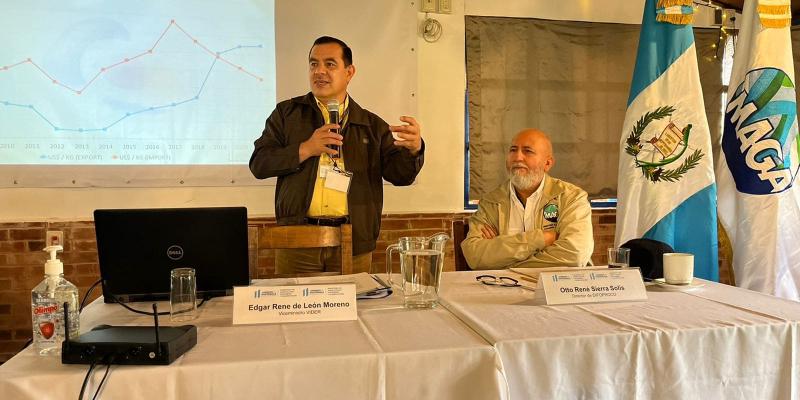 MAGA respalda competitividad del sector aguacatero