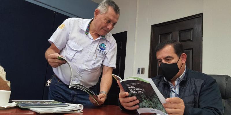 Guatemala se encamina a fortalecer la agrocadena del bambú