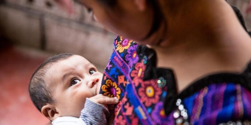 Secretaría de Seguridad Alimentaria y Nutricional 