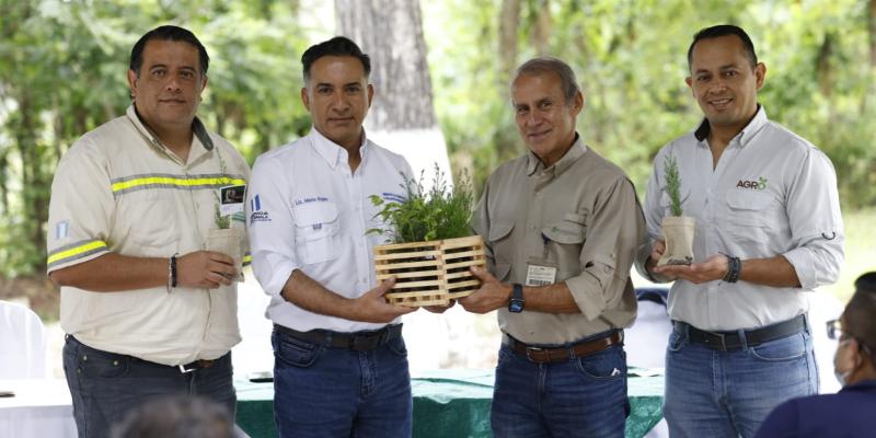 Más árboles para reforestar y restaurar Guatemala