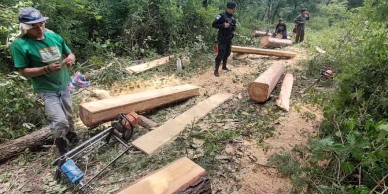 Capturan a dos personas por tala ilegal en Chimaltenango 