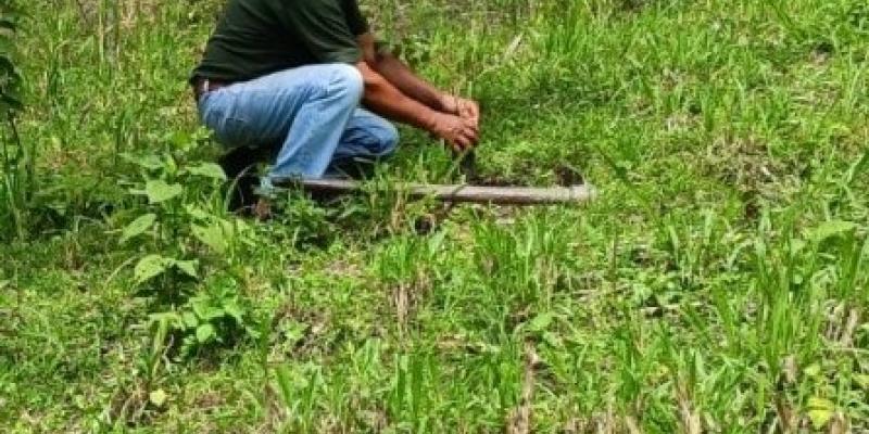 Recuperan áreas de recarga hídrica en San Agustín Acasaguastlán